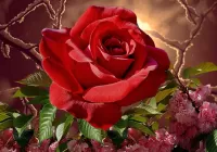 Jigsaw Puzzle Red rose