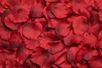 Rompecabezas Scarlet petals