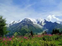 Jigsaw Puzzle Alps mountain flowers