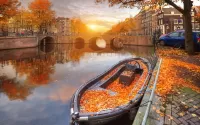 Quebra-cabeça Amsterdam autumn