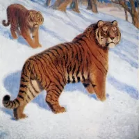 パズル Amur tigers
