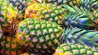 Jigsaw Puzzle pineapples