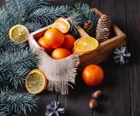 Zagadka Oranges and cones