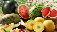 Zagadka watermelon and melon