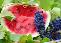 Jigsaw Puzzle Watermelon and grapes