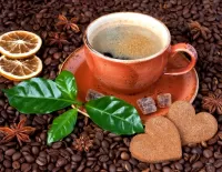 Slagalica Flavored coffee