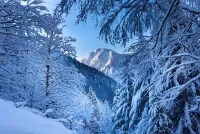Пазл Австрийская зима