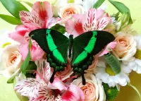 パズル Butterfly and bouquet