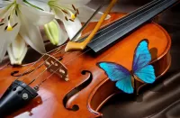 Jigsaw Puzzle Butterfly on the violin