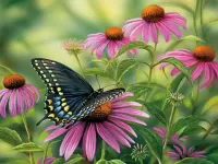 Slagalica Butterfly on flowers