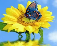 Quebra-cabeça Butterfly on flower