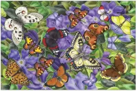 Puzzle butterfly