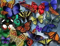 パズル Butterflies