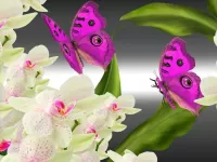 Пазл Бабочки и орхидеи