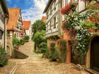 Puzzle Bad Wimpfen Germany