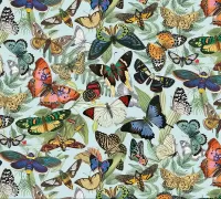 Jigsaw Puzzle Butterfly Ball