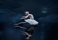 Quebra-cabeça Ballet Swan Lakes