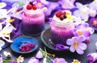 Slagalica Jars with berries