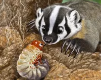 Puzzle The little badger and caterpillars