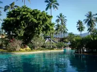 Bulmaca the palm pool