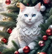 Zagadka White cat