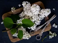 Jigsaw Puzzle White lilac