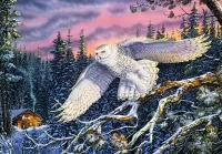 Jigsaw Puzzle White owl