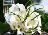 Puzzle White Calla lilies