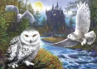 Slagalica White owls