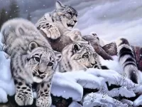 Jigsaw Puzzle Snow leopards