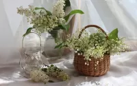 Пазл Белые цветы