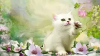Slagalica White kitten