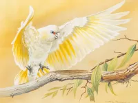 Пазл Белый попугай