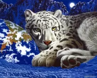 Puzzle White tiger