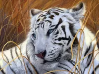 Rompicapo White tiger