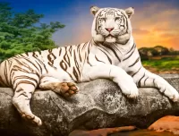 Puzzle White tiger