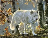 Puzzle White wolf