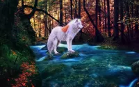 Puzzle White Wolf