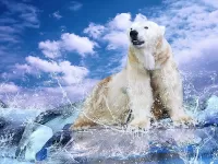Rompecabezas Polar bear