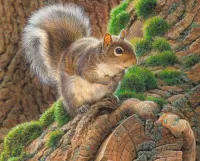 Bulmaca Squirrel on a tree