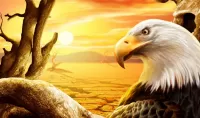 Пазл Белоголовый орлан