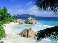 Quebra-cabeça Palm beach