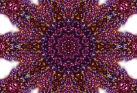 Puzzle Bubbly fractal