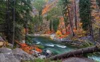 Jigsaw Puzzle Fast river