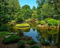 Jigsaw Puzzle Botanical garden
