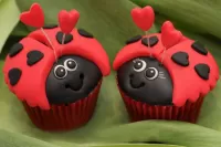 Rompicapo Ladybugs