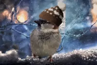 Quebra-cabeça The brave Sparrow