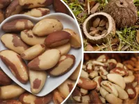 Quebra-cabeça Brazil nuts