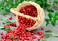Slagalica Cranberries