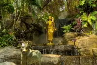 Zagadka Buddha in the garden